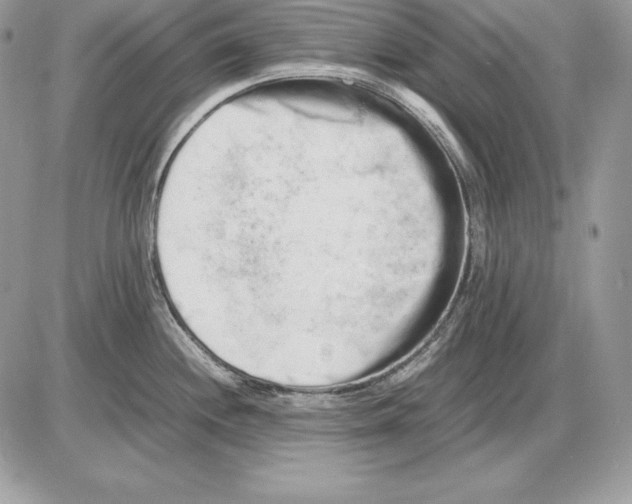 X0000085751244200704131702