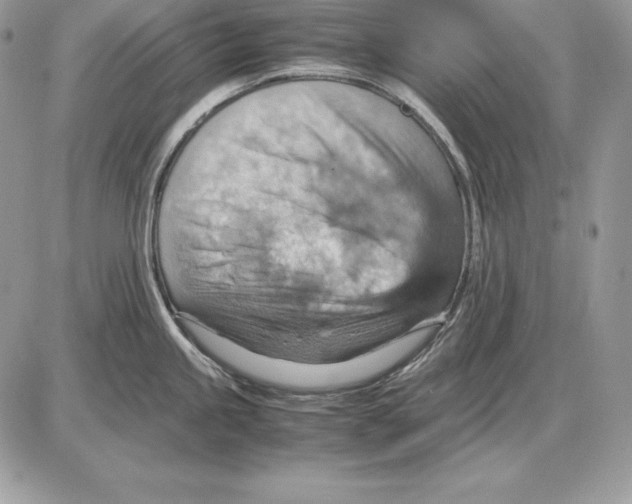 X0000085751245200704131702