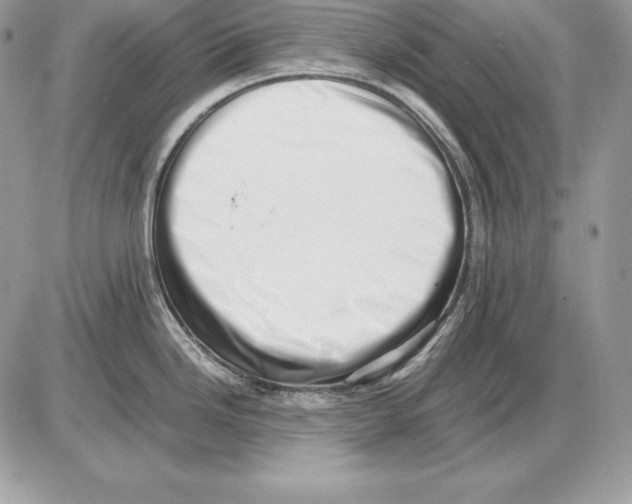 X0000085751246200704131702