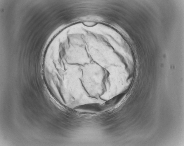 X0000085751248200704131703