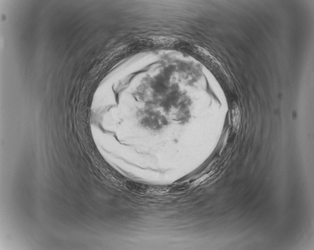 X0000085751249200704131702