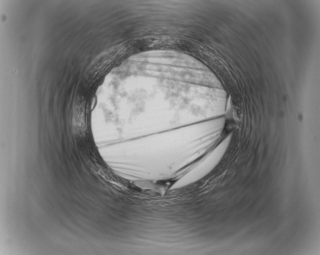 X0000085751250200704131702