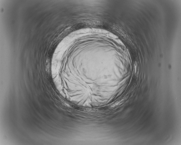 X0000085751251200704131702