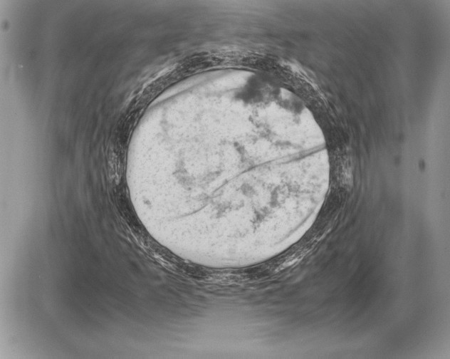 X0000085751253200704131702