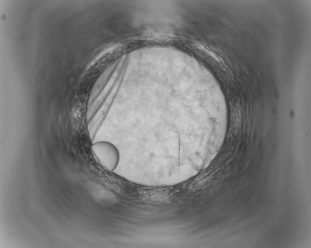 X0000085751254200704131702