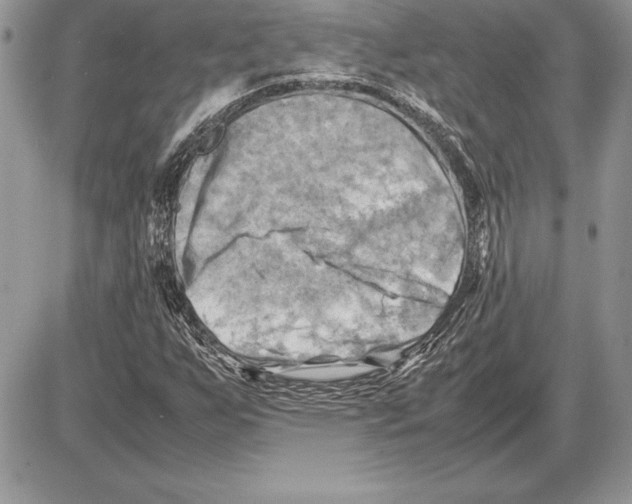 X0000085751255200704131702