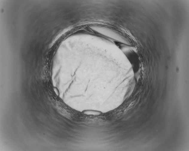 X0000085751256200704131702