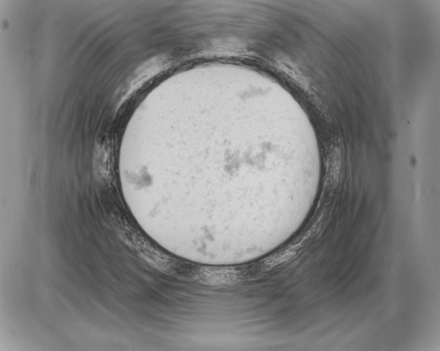 X0000085751258200704131702