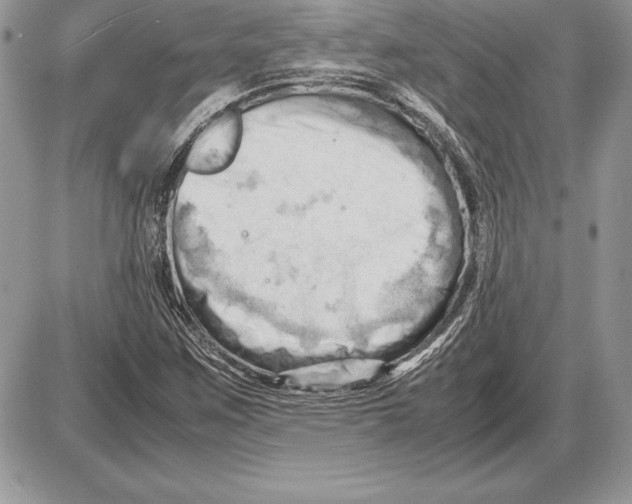 X0000085751259200704131702