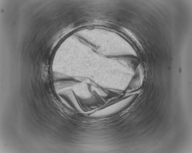 X0000085751260200704131701