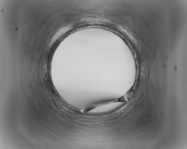 X0000085751261200704131701