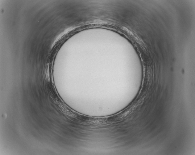 X0000085751262200704131701