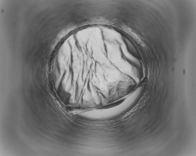 X0000085751264200704131701