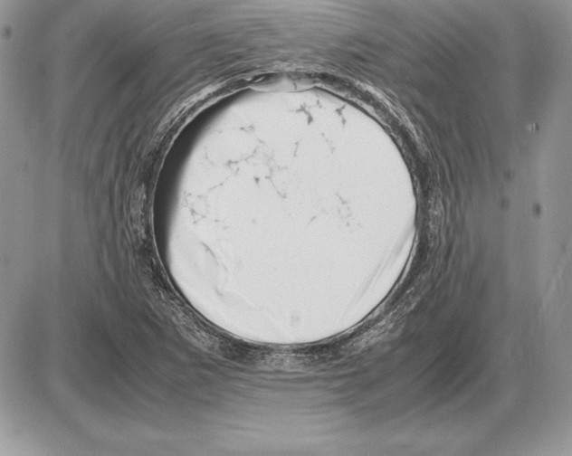 X0000085751265200704131701