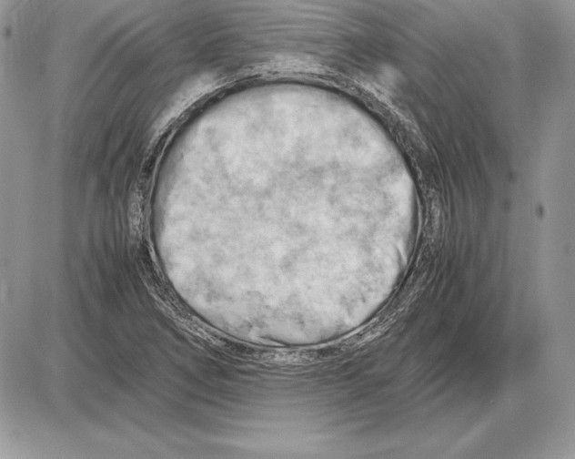 X0000085751266200704131701