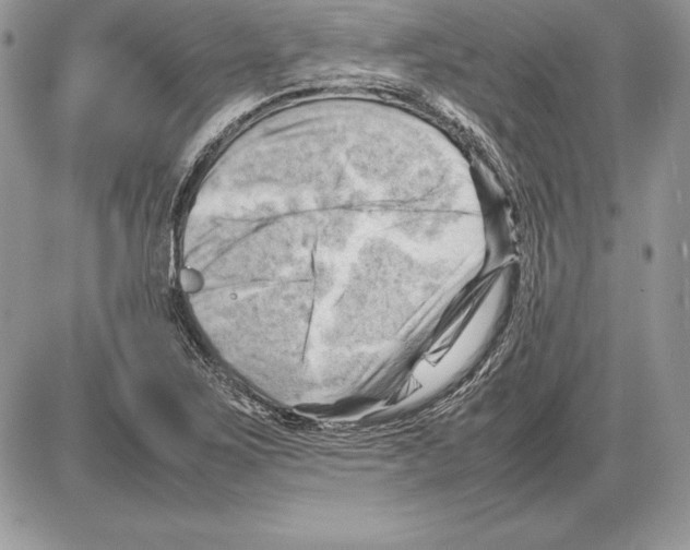 X0000085751267200704131701