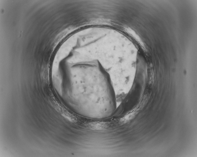 X0000085751268200704131701