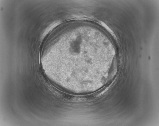 X0000085751269200704131701