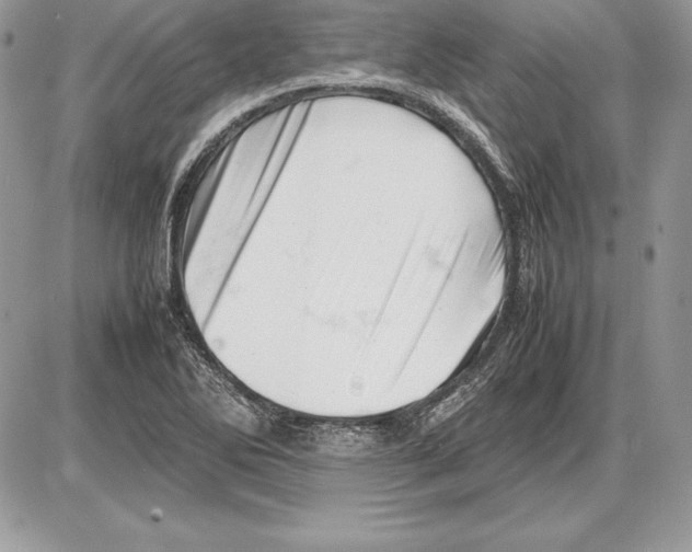 X0000085751270200704131701