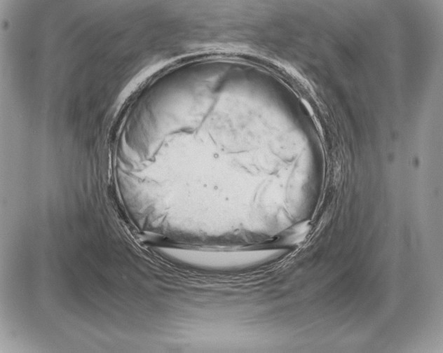 X0000085751271200704131701