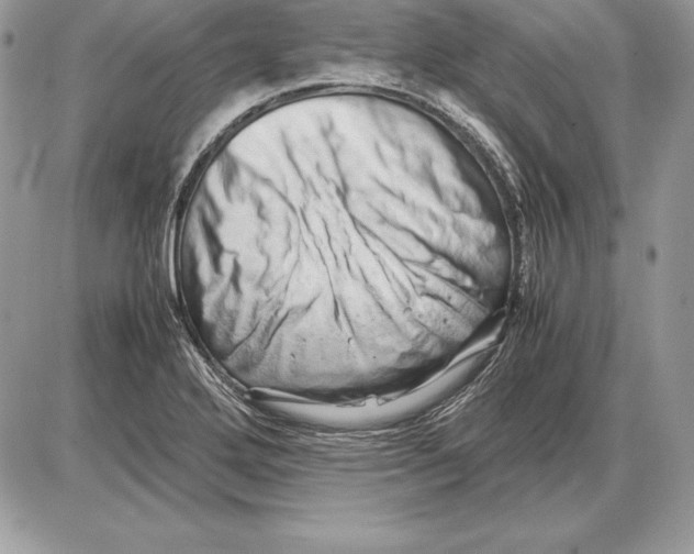 X0000085751272200704131701