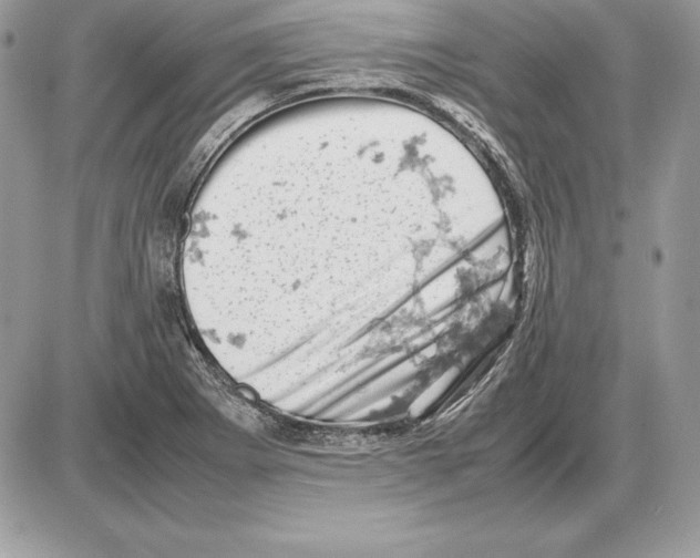 X0000085751273200704131701