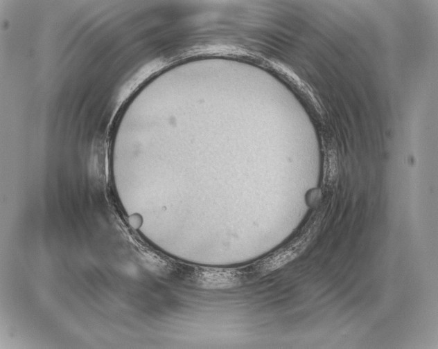 X0000085751274200704131701