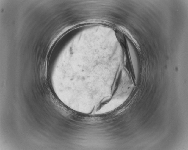 X0000085751276200704131701