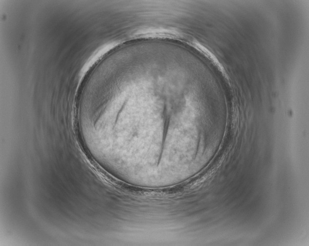 X0000085751277200704131701