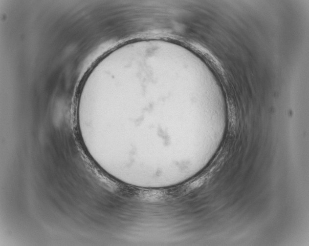 X0000085751278200704131701