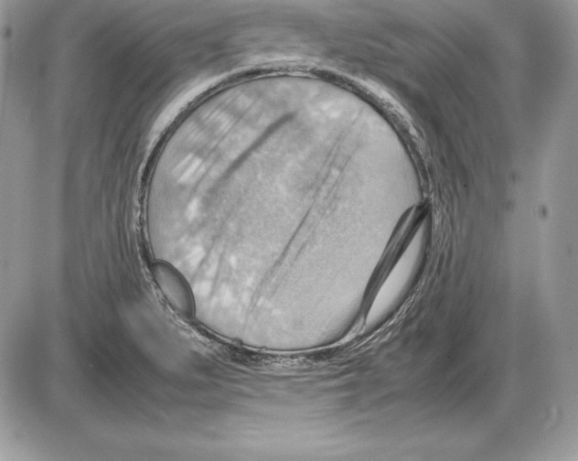 X0000085751279200704131701