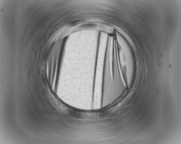 X0000085751281200704131701