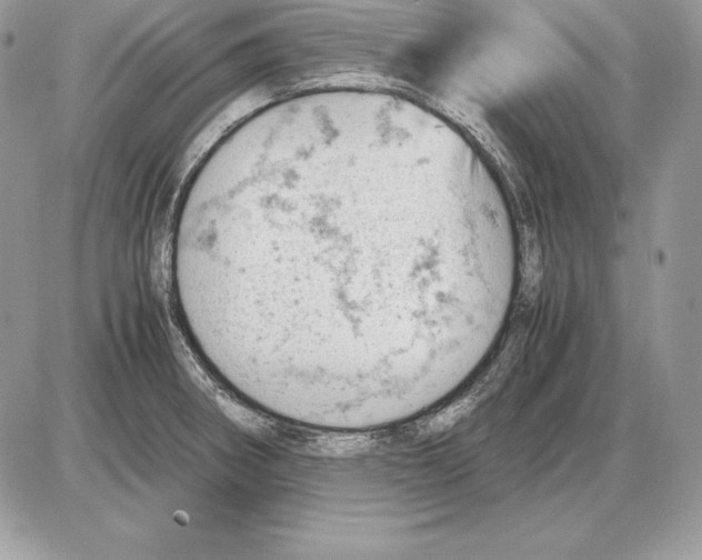 X0000085751282200704131701