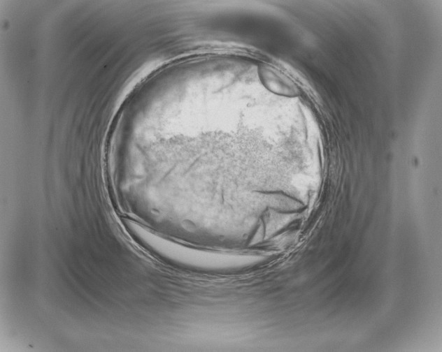 X0000085751283200704131701