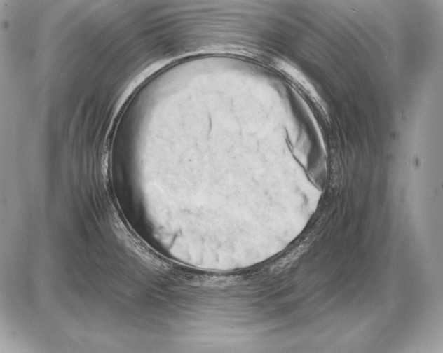 X0000085751284200704131701