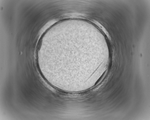 X0000085751285200704131701