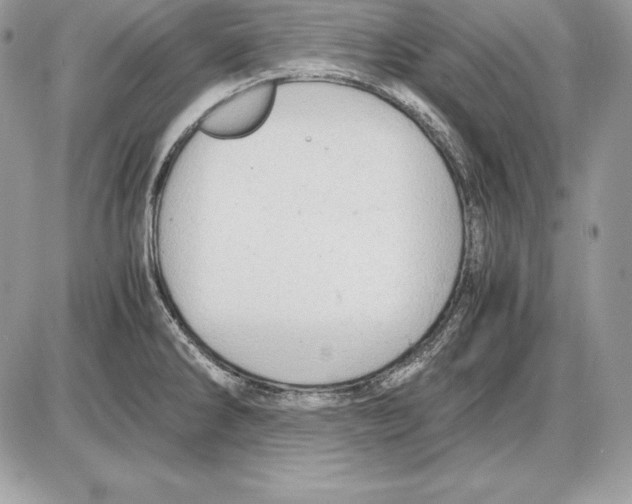 X0000085751286200704131701