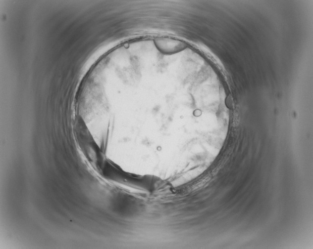 X0000085751287200704131701