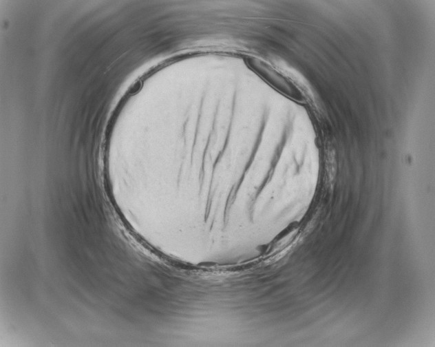 X0000085751288200704131701