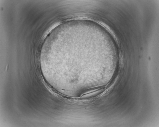 X0000085751289200704131701