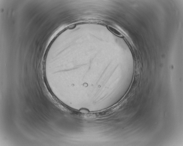 X0000085751291200704131701