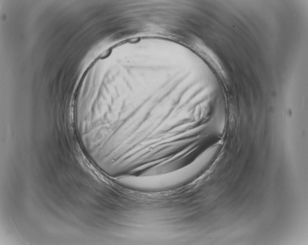 X0000085751292200704131701