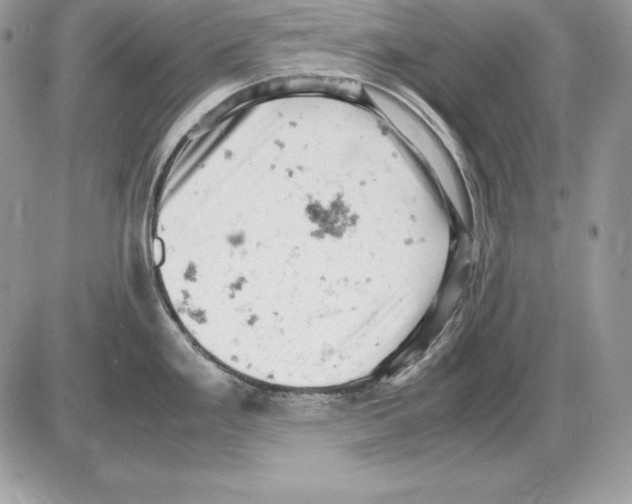 X0000085751293200704131701