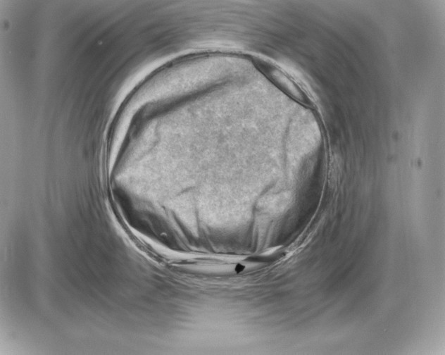 X0000085751295200704131701