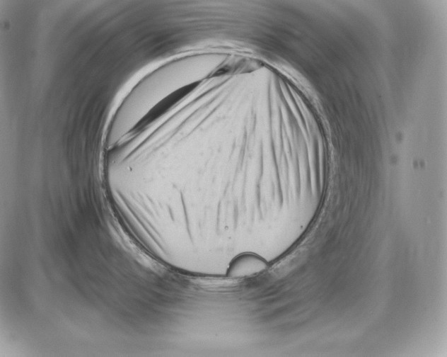 X0000085751296200704131701