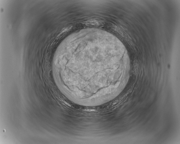 X0000085751297200704131700