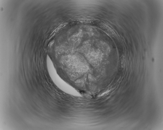 X0000085751298200704131700