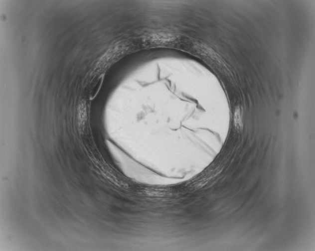 X0000085751299200704131700