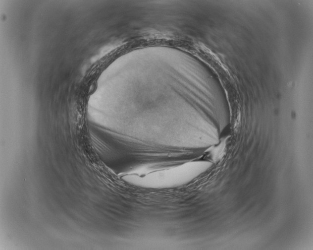 X0000085751303200704131700