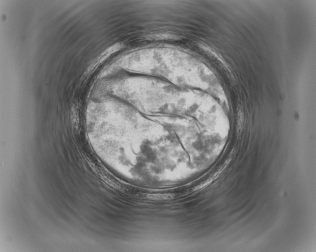 X0000085751305200704131700